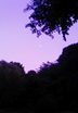 NEC_0259.jpg